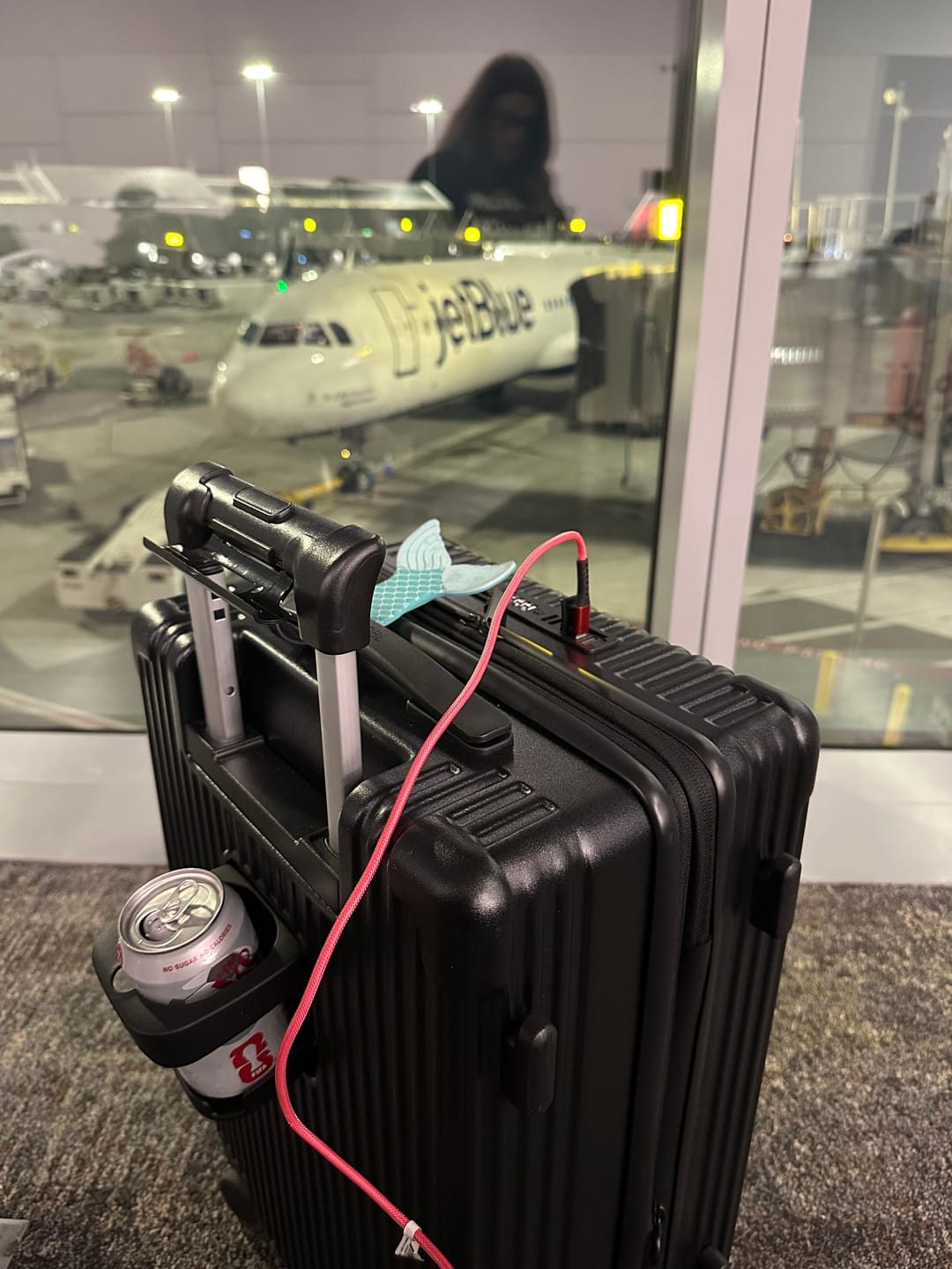 Customer photo review of Check-In: All-In-One 28"