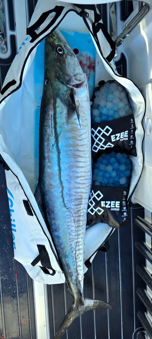 Customer photo review of Mega Freeze | Blue Ice | 5kg Black Bag