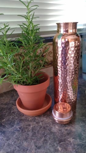 Customer's hand-hammered copper water bottle with the lid off, sitting on a counter next to a potted plant.