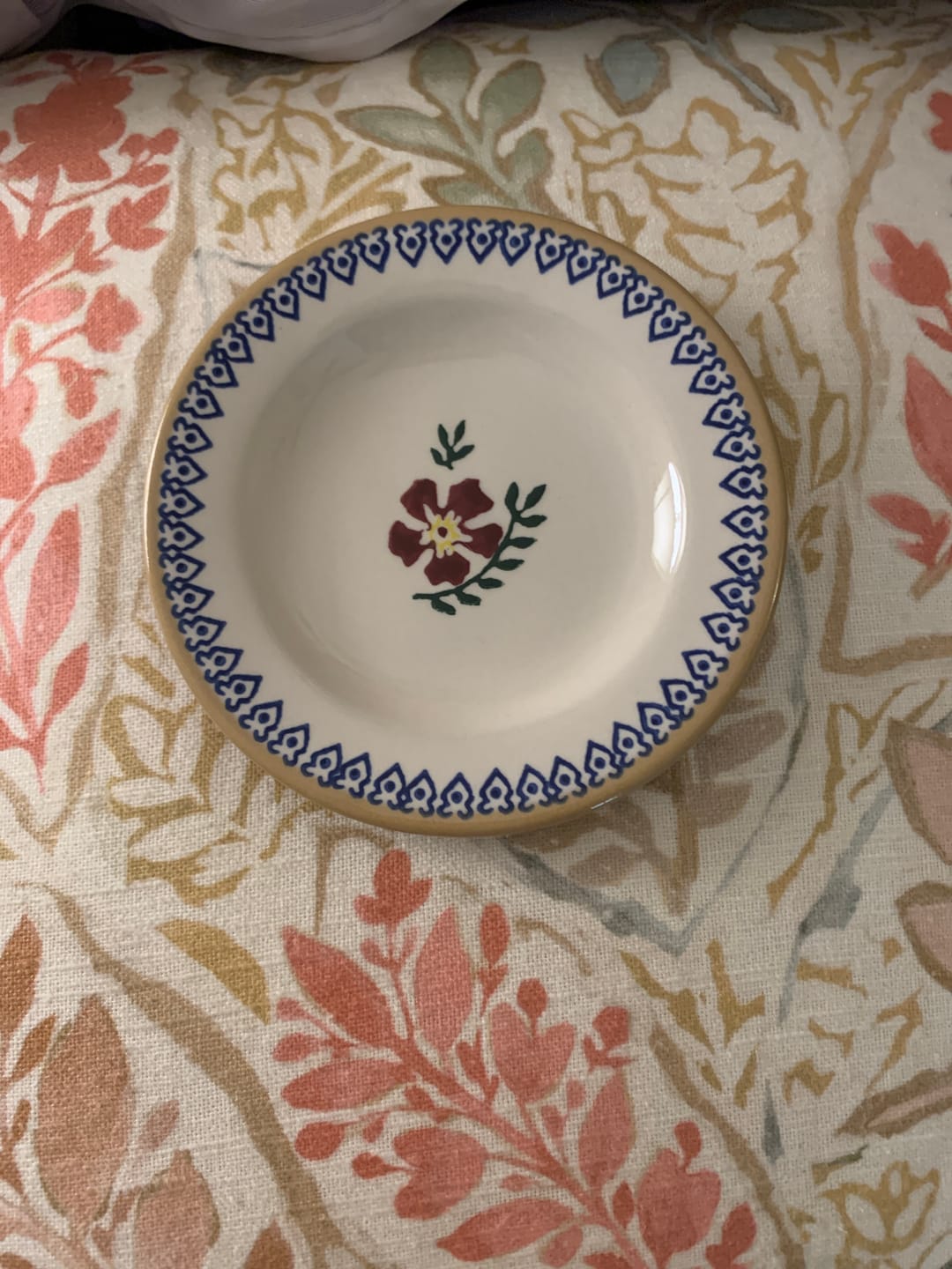 Customer photo review of Tiny Plate | Old Rose