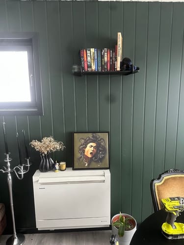 Customer photo review of Medusa | Caravaggio | 1597