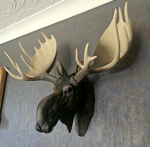 Customer photo review of Wall Mounted Head - Mike The Moose