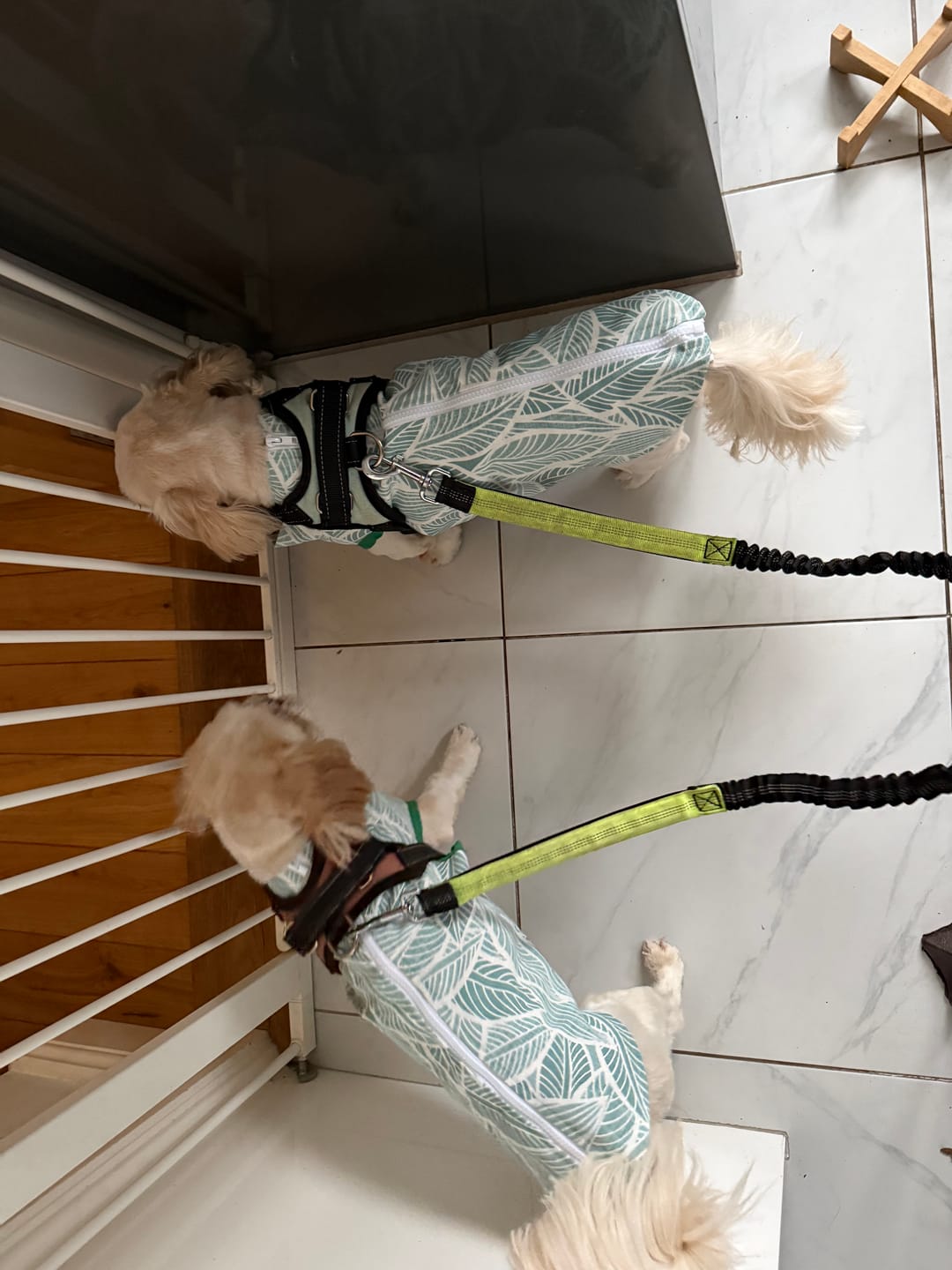 Customer photo review of Outlined Leaves Water Resistant Fabric