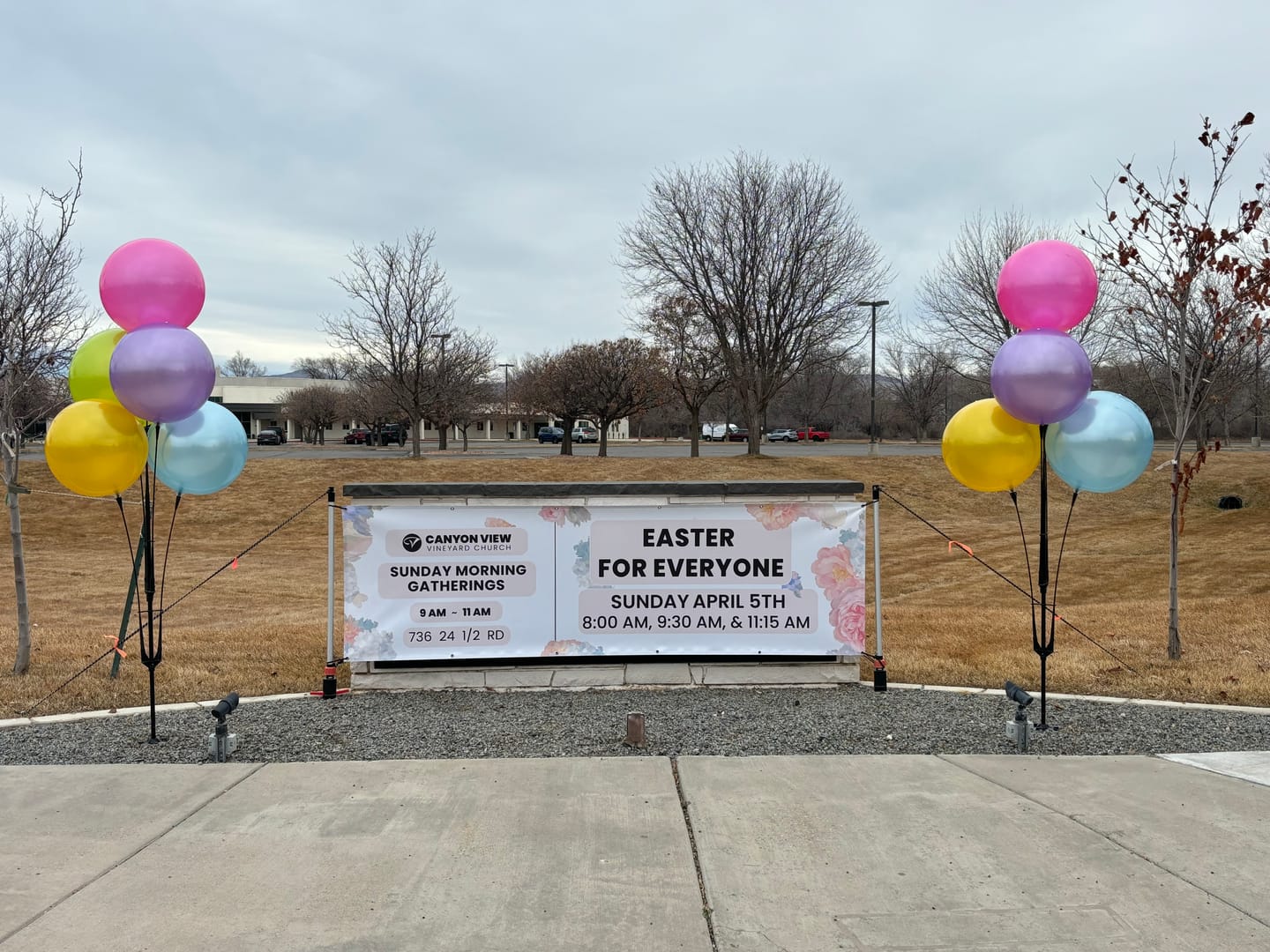 Customer photo review of DuraBalloon® 5-Balloon Cluster Pole Kit