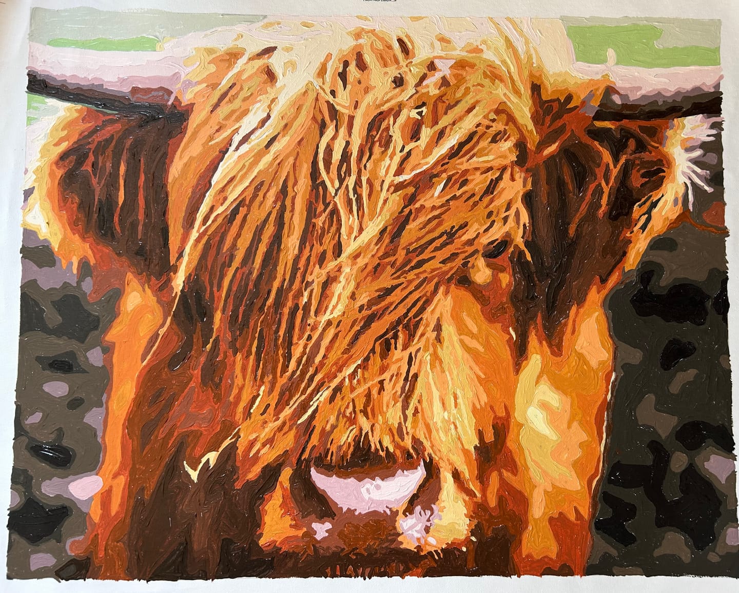 Customer photo review of Malen nach Zahlen - Schottisches Hochlandrind
