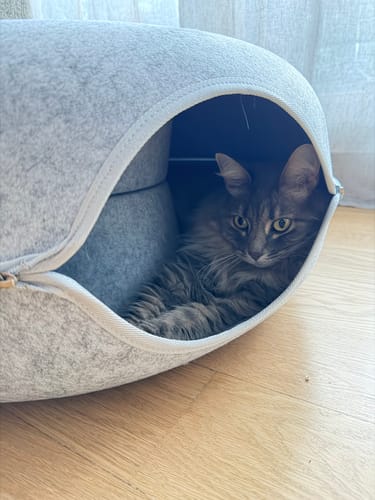 Customer photo review of Cueva Dona