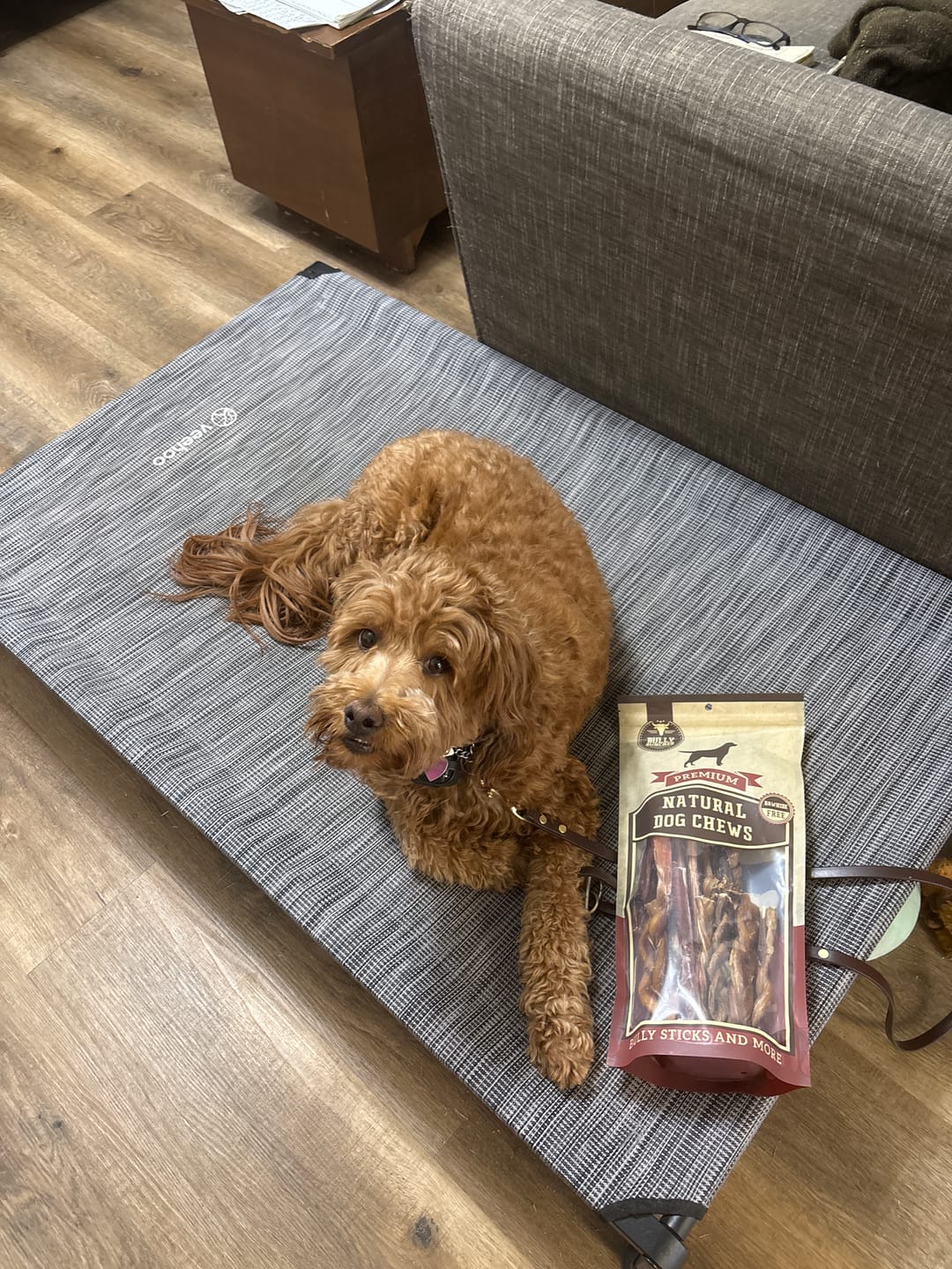Customer photo review of Bully Bargain Bag