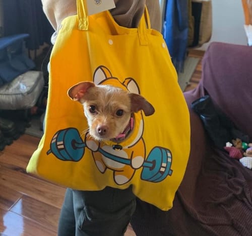 Customer photo review of CT2693 1 Pieza De Bolsa Transportadora Para Mascota