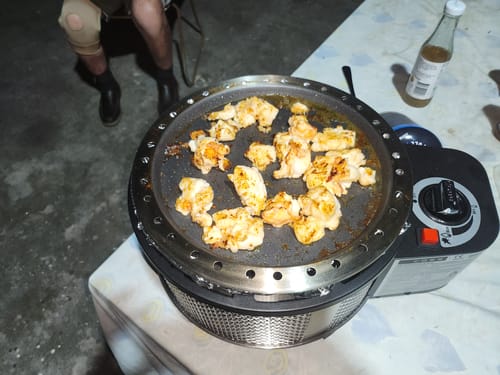 Customer photo review of COBB Grill Gas Bundle