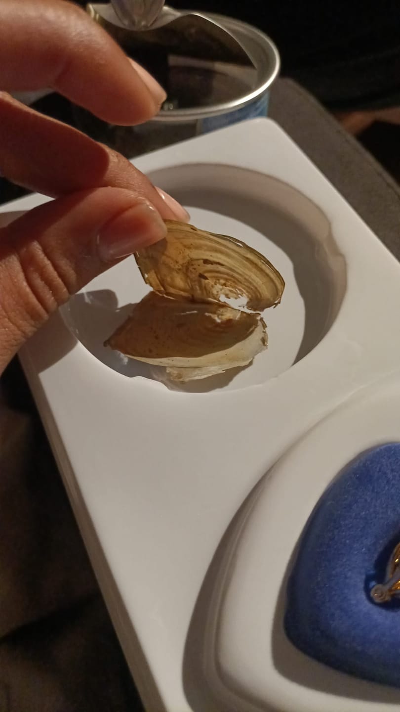 Customer photo review of Rush My Order