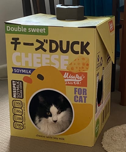 Customer photo review of Misspet Soy Milk Box Cat Scratcher