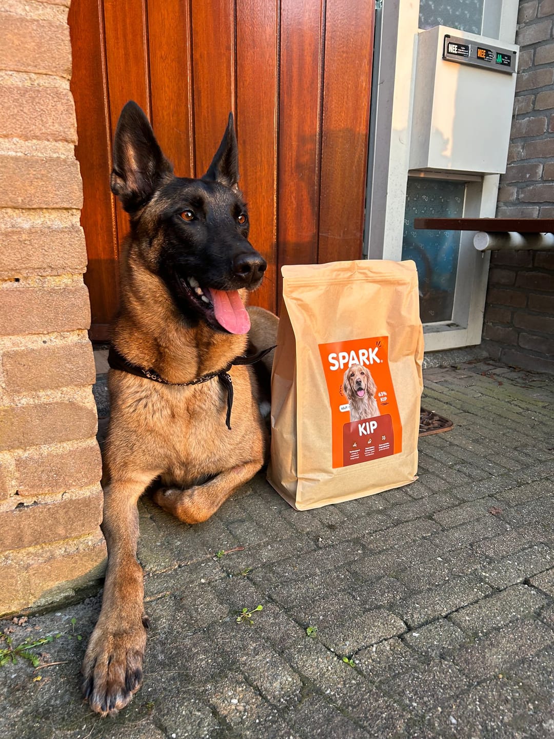 Customer photo review of V2.0 - Volwassen - Kip met Zoete Aardappel