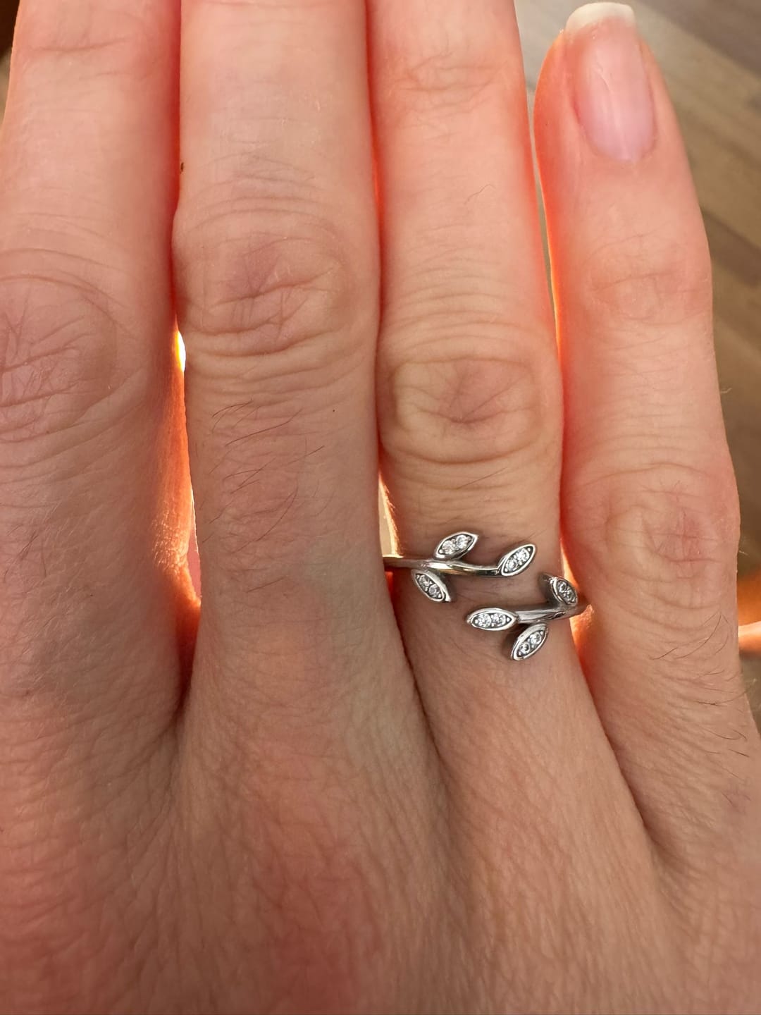 Customer photo review of Anillo Hojitas Brillantes