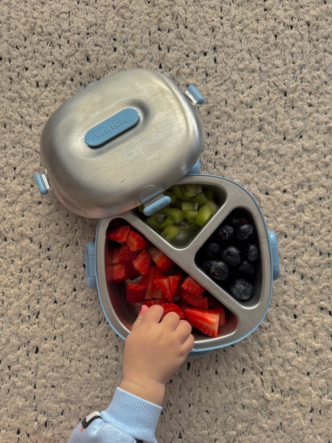 Customer photo review of Bento Box | Berry