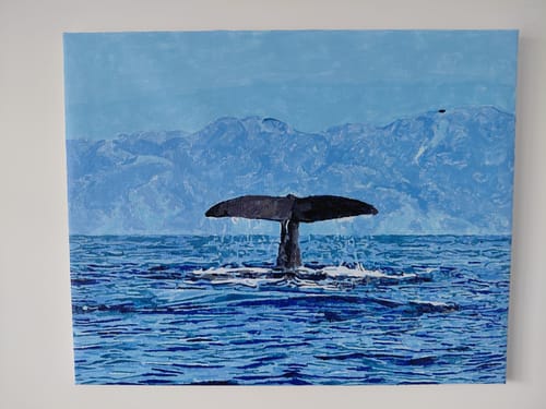 Customer photo review of Kaikoura Whales