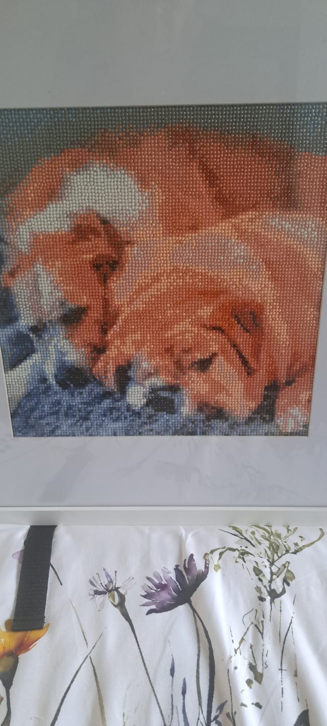 Customer photo review of Custom Diamond Painting