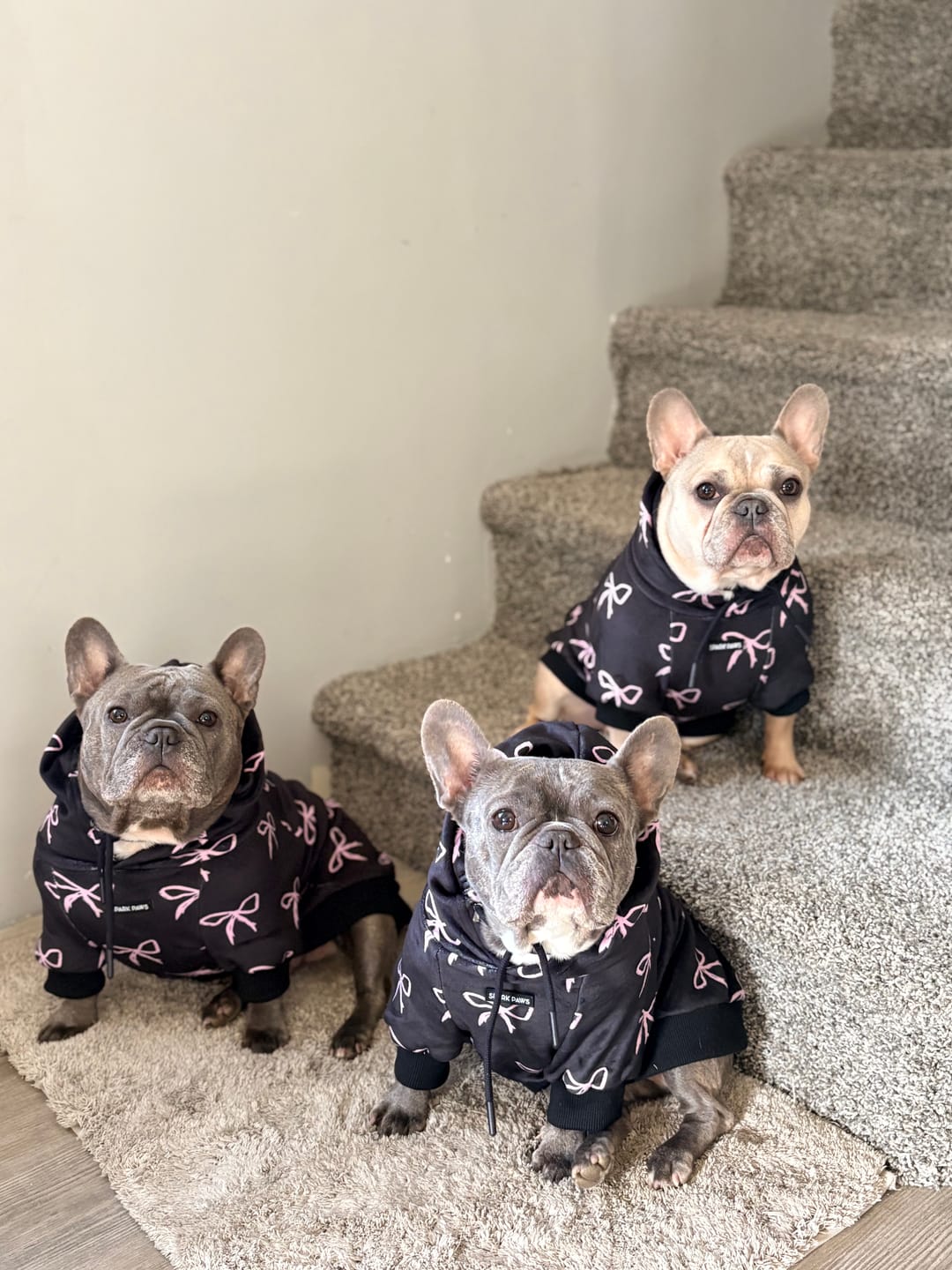 Customer photo review of Coquette Dog Hoodie