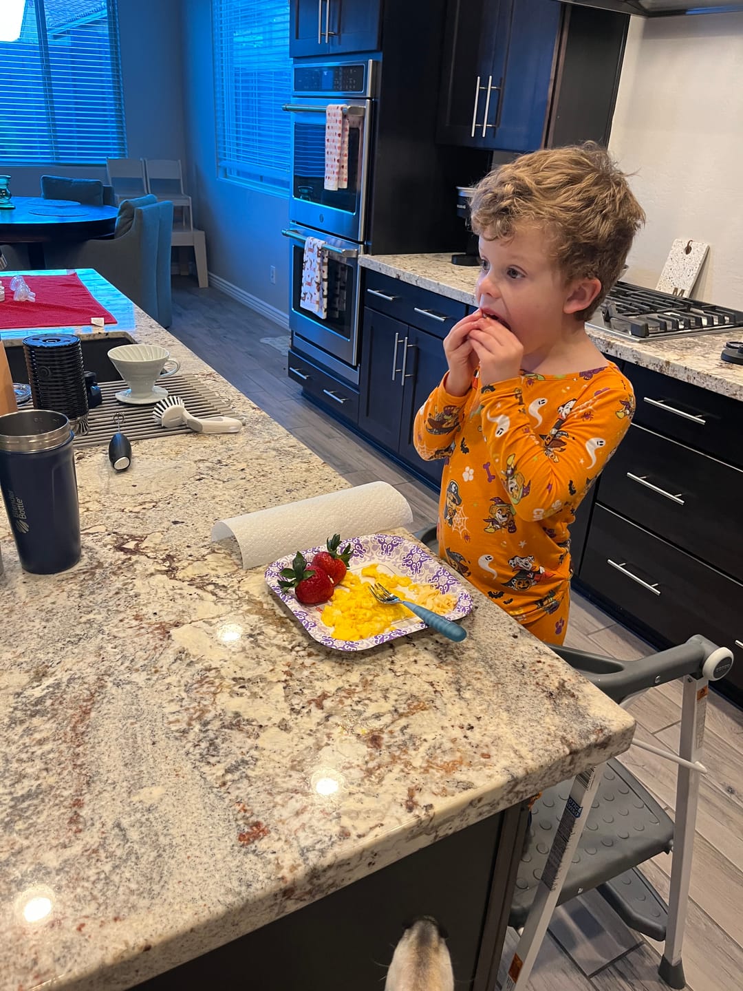 Customer photo review of PAW Patrol: Halloween Pups Bamboo Kids Pajamas