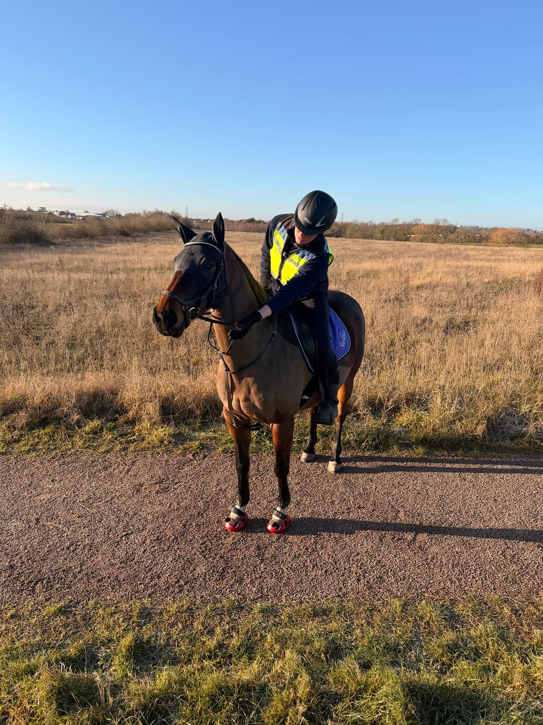 Customer photo review of Renegade® Viper Shield™ Hoof Boot - Dragon Fire Red