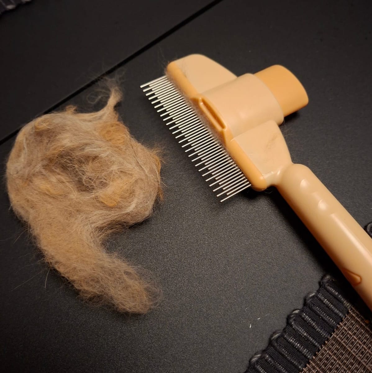 Customer photo review of Vento™ Bürste