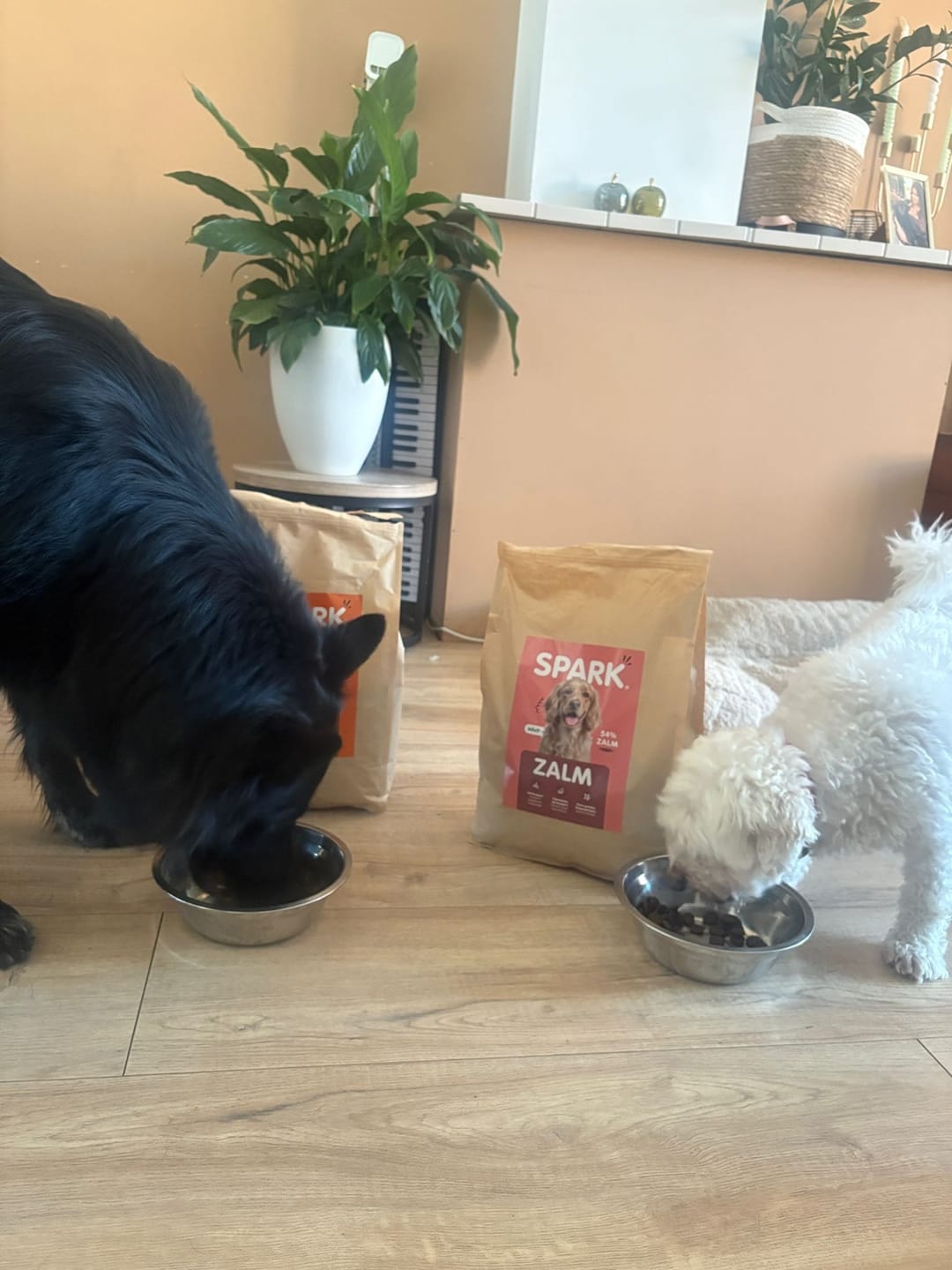 Customer photo review of V2.0 - Volwassen - Zalm met Zoete Aardappel