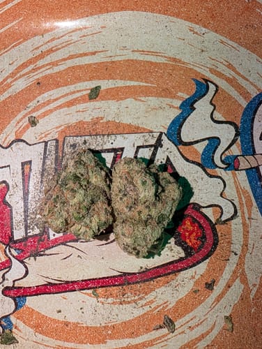 Customer photo review of BUBBLEGUM KANDY HAULER