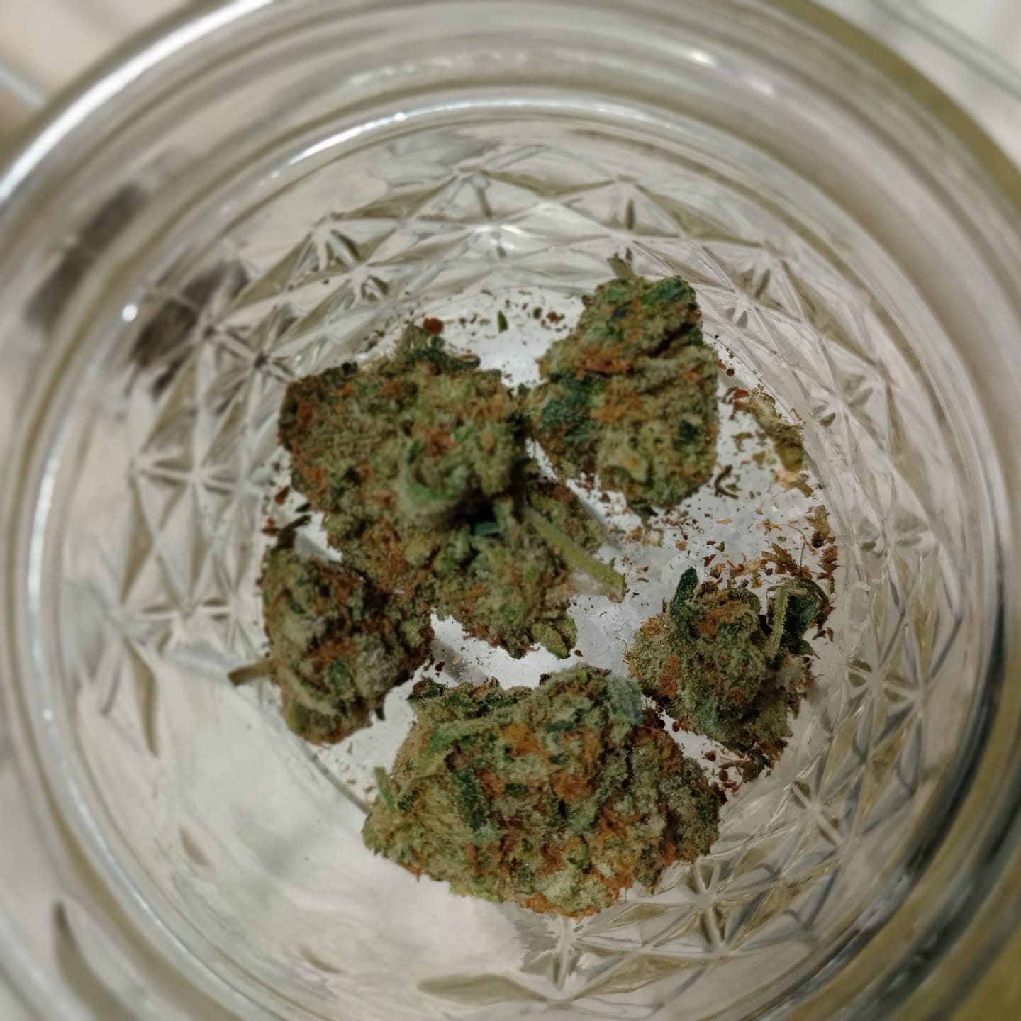 Customer photo review of Gush Mintz Light Assist THCA