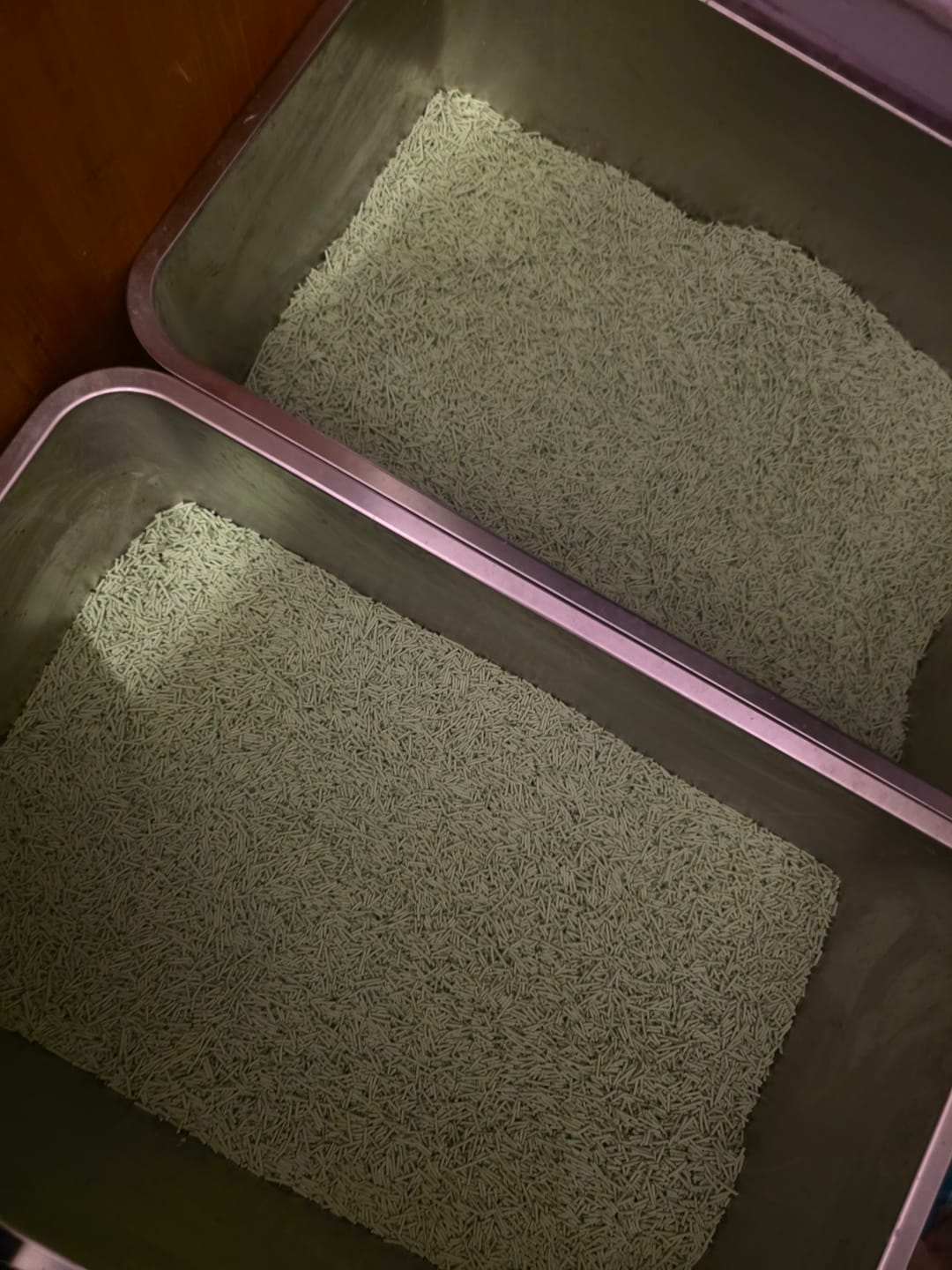 Customer photo review of Michu Natural Clumping Tofu Cat Litter 5.5lb/88oz