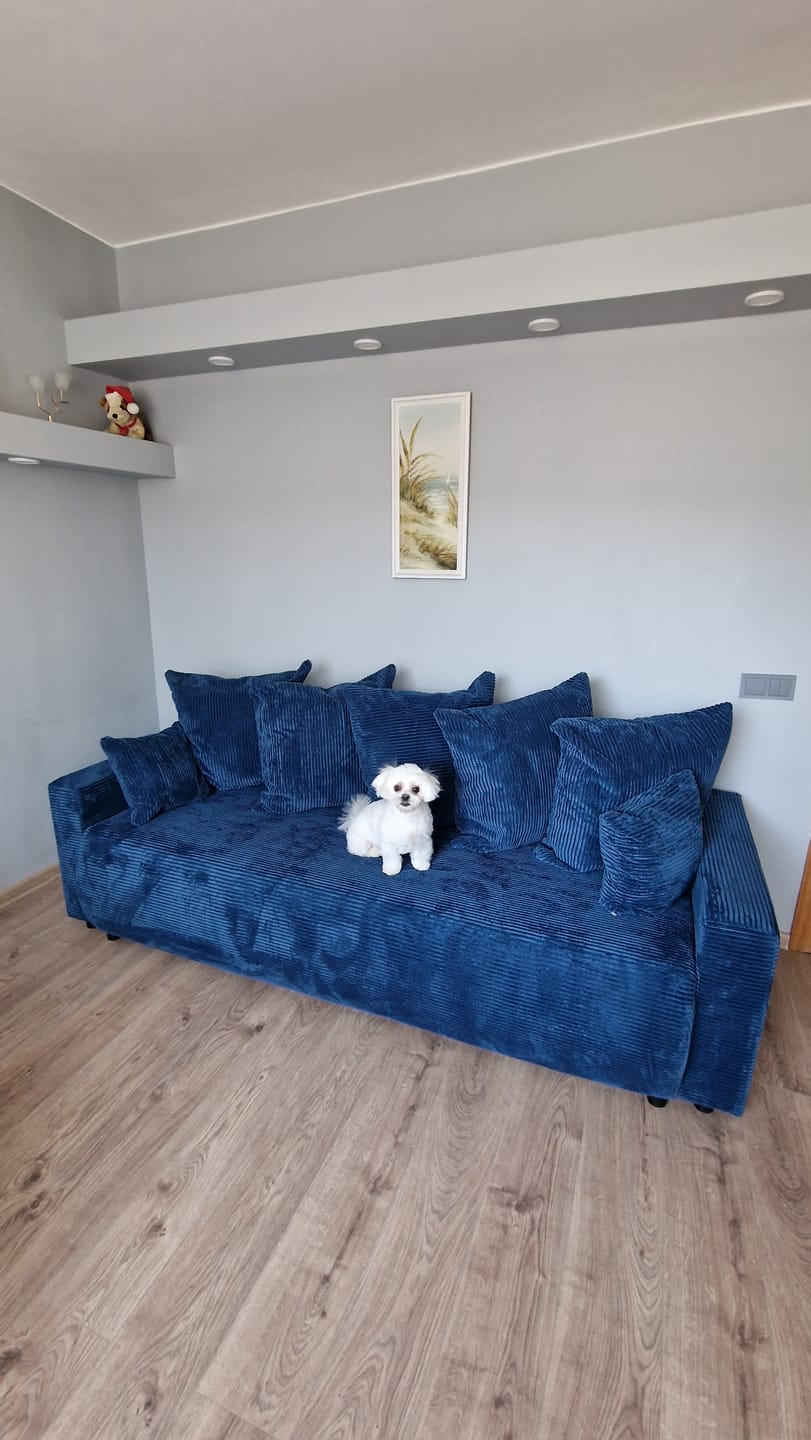 Customer photo review of Sofa lova POLO