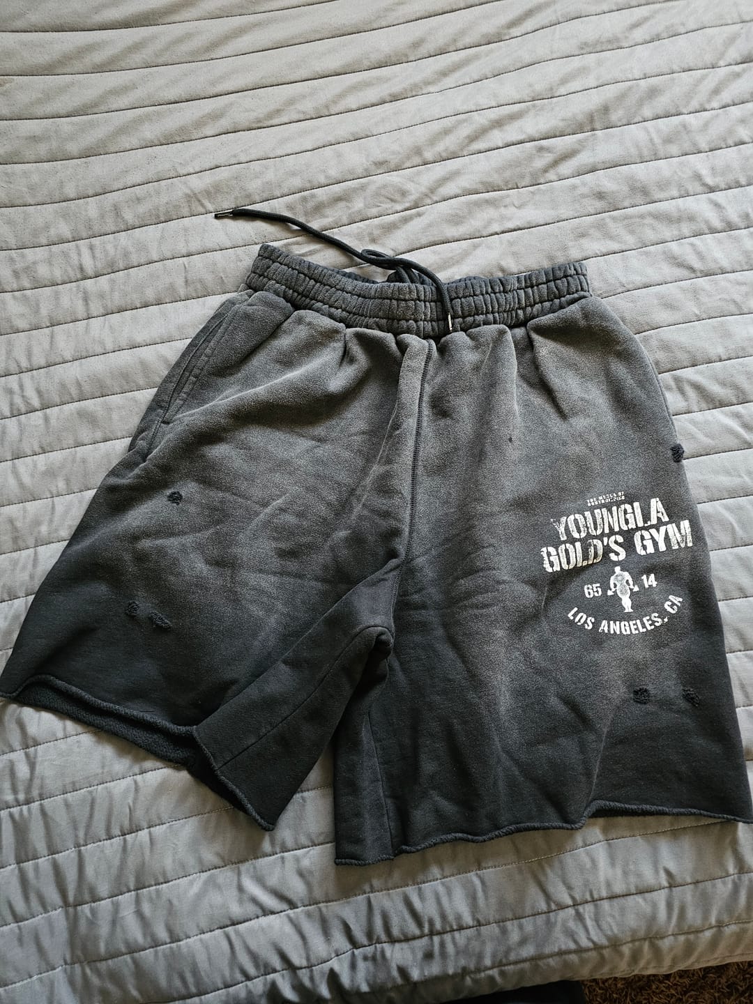 Customer photo review of 1014 - Gold's Iron Legacy Shorts