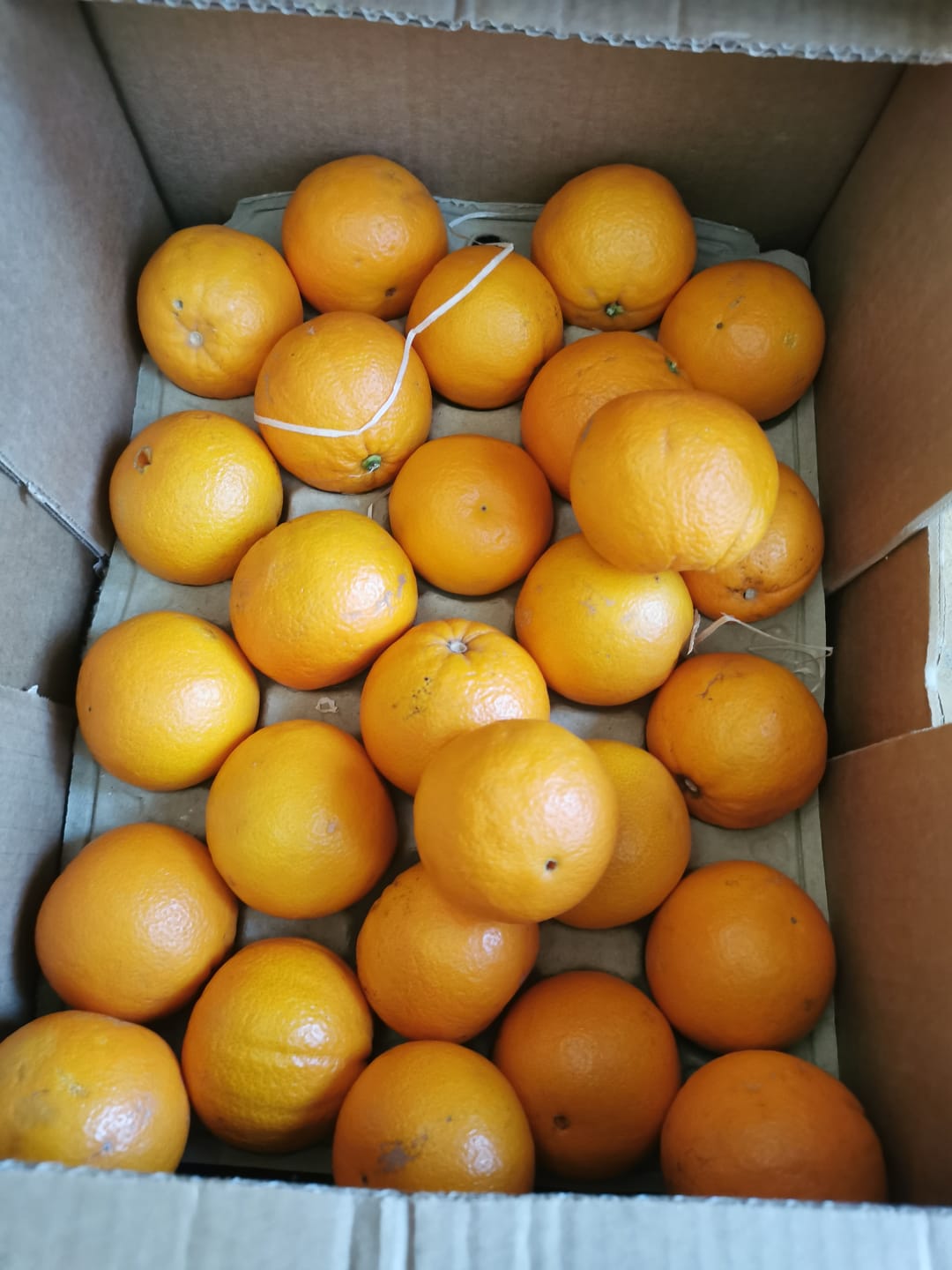 Customer photo review of Saft-Orangen Bio aus Sizilien