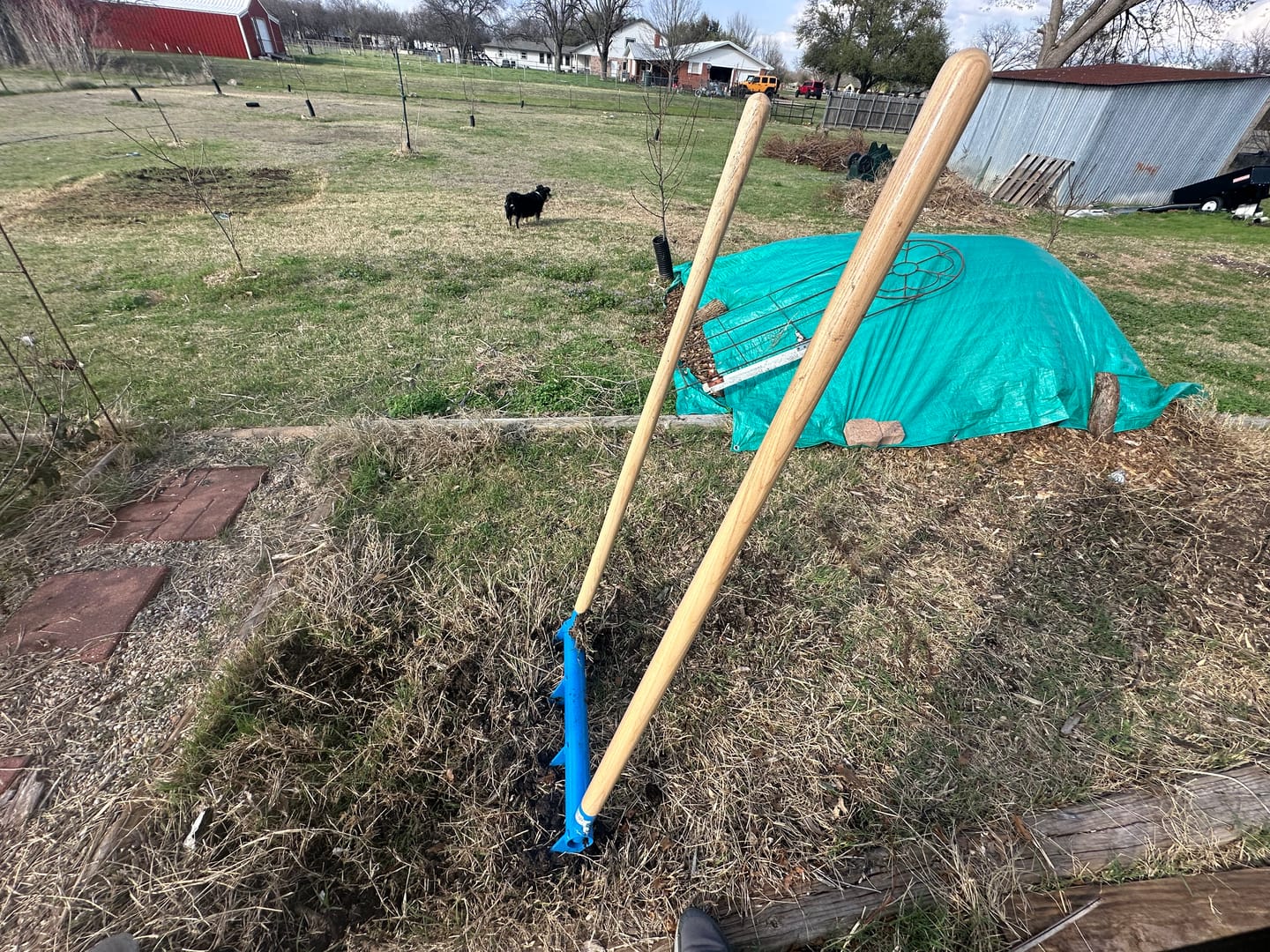 Customer photo review of All-Day Treadlite Broadfork | 20" wide | 4 tines