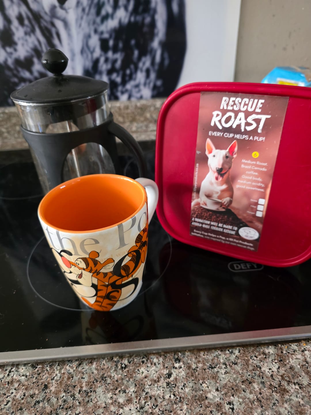 Customer photo review of Irresistible Charm (Adora-Bull Bull Terrier Rescue) #2