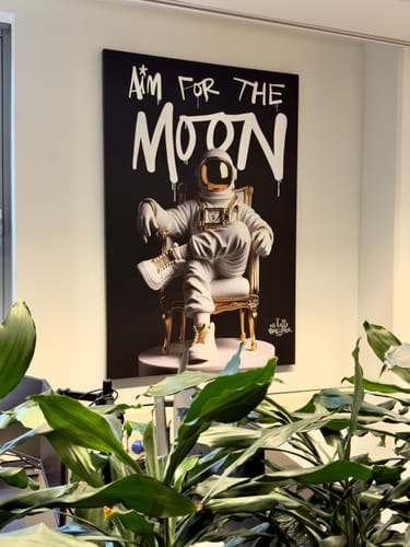 Customer photo review of Aim for the moon