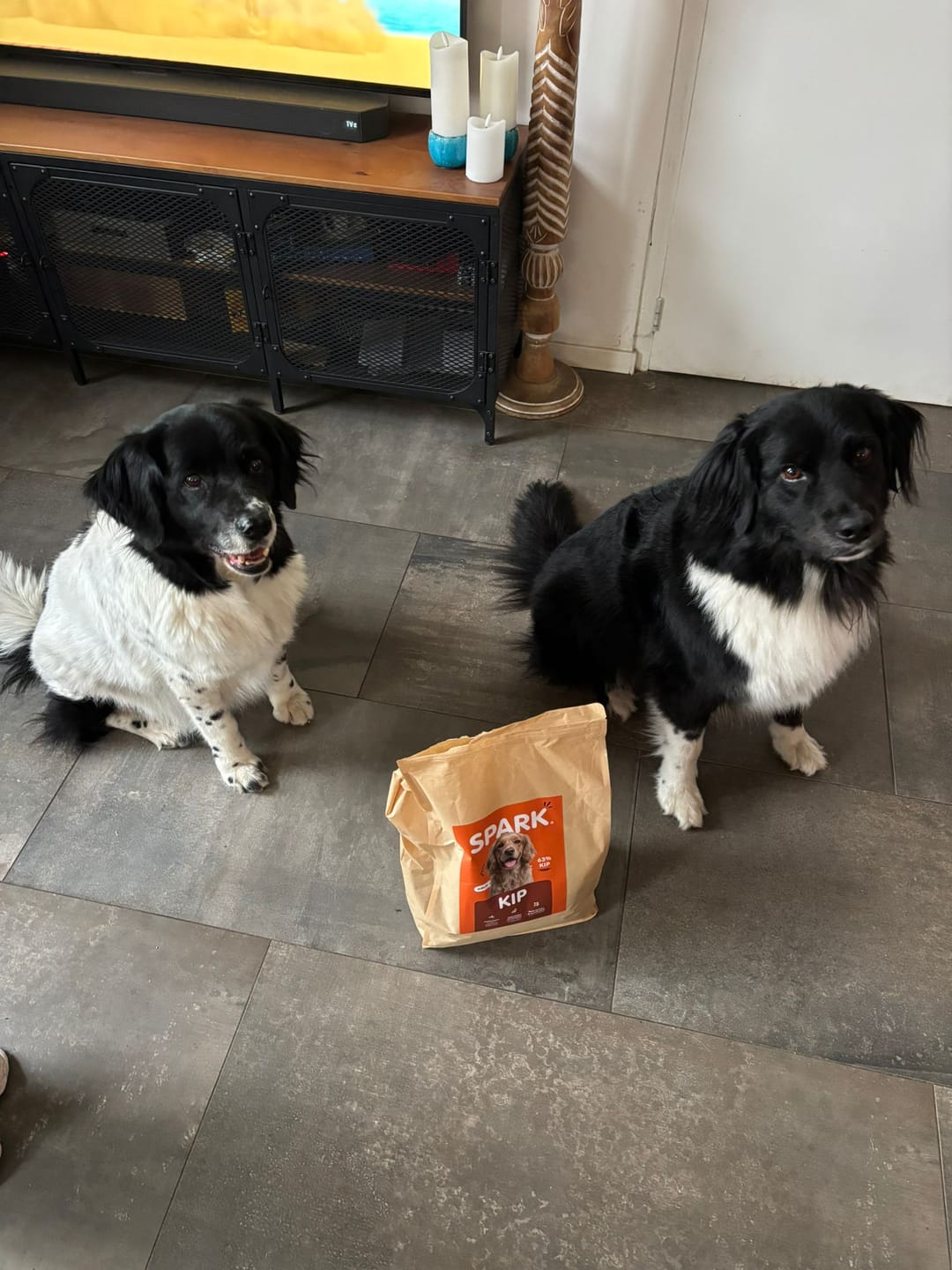 Customer photo review of V2.0 - Volwassen - Kip met Zoete Aardappel