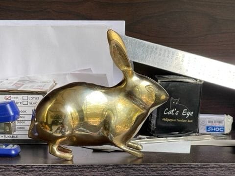 Customer photo review of Golden Rabbit Brass Idol – Auspicious Vastu Remedy for Wealth Attraction & Prosperity | Ideal for North Direction, Office Desk & Home Entrance | 13 x 4.5 x 11.5 cm | 670 g
