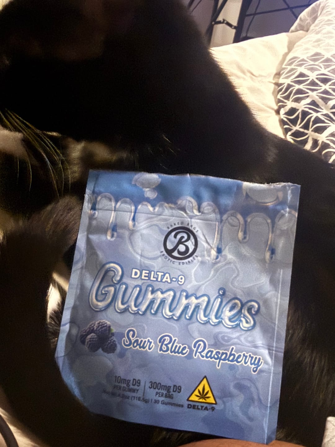 Customer photo review of GUMMIES - SOUR BLUE RASPBERRY