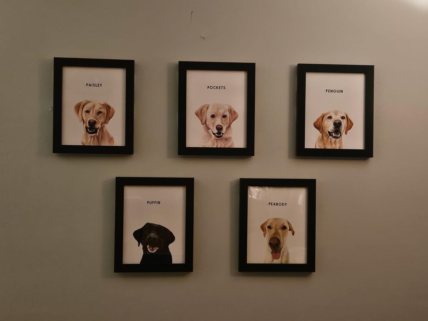 Customer photo review of Custom One Pet Portrait