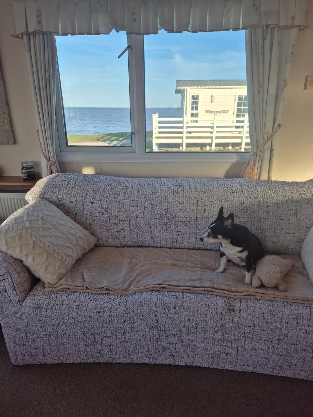 Customer photo review of 3 Seater Sofa Cover - Vittoria White, Microfibra Printed