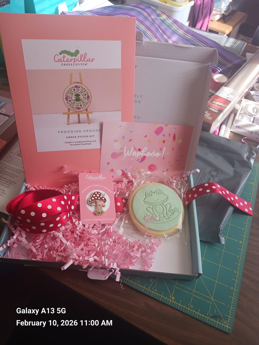 Customer photo review of Caterpillar Club Subscription Box - Bimonthly