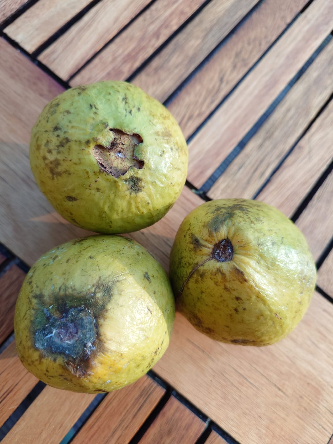 Customer photo review of Guave rot naturbelassen von Julian
