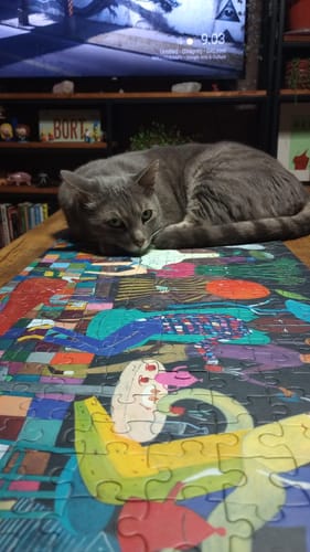 Customer photo review of Puzzle artístico de una Caponata 350 piezas - Djeco