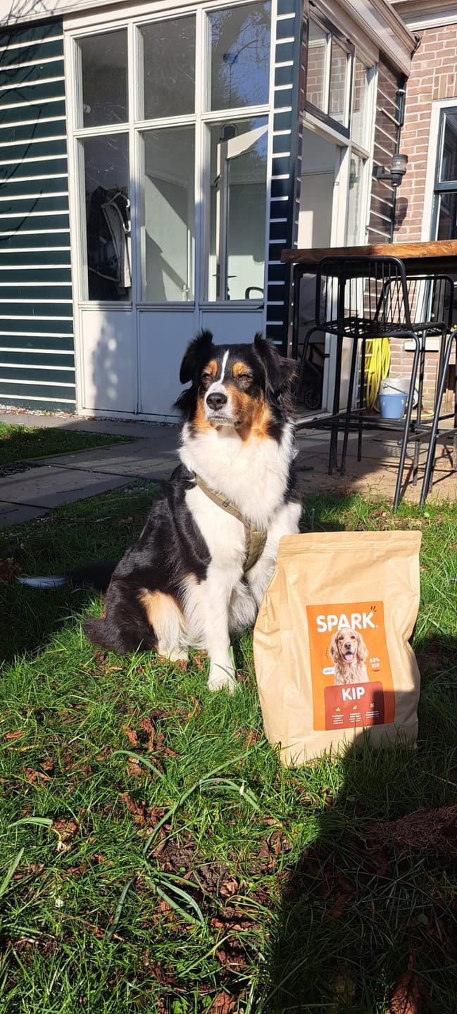 Customer photo review of V2.0 - Volwassen - Kip met Zoete Aardappel