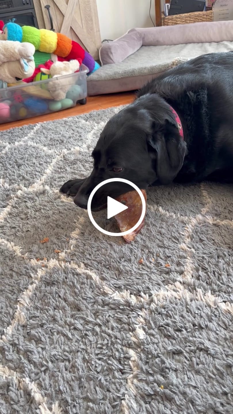 Customer video review of Pig Ears