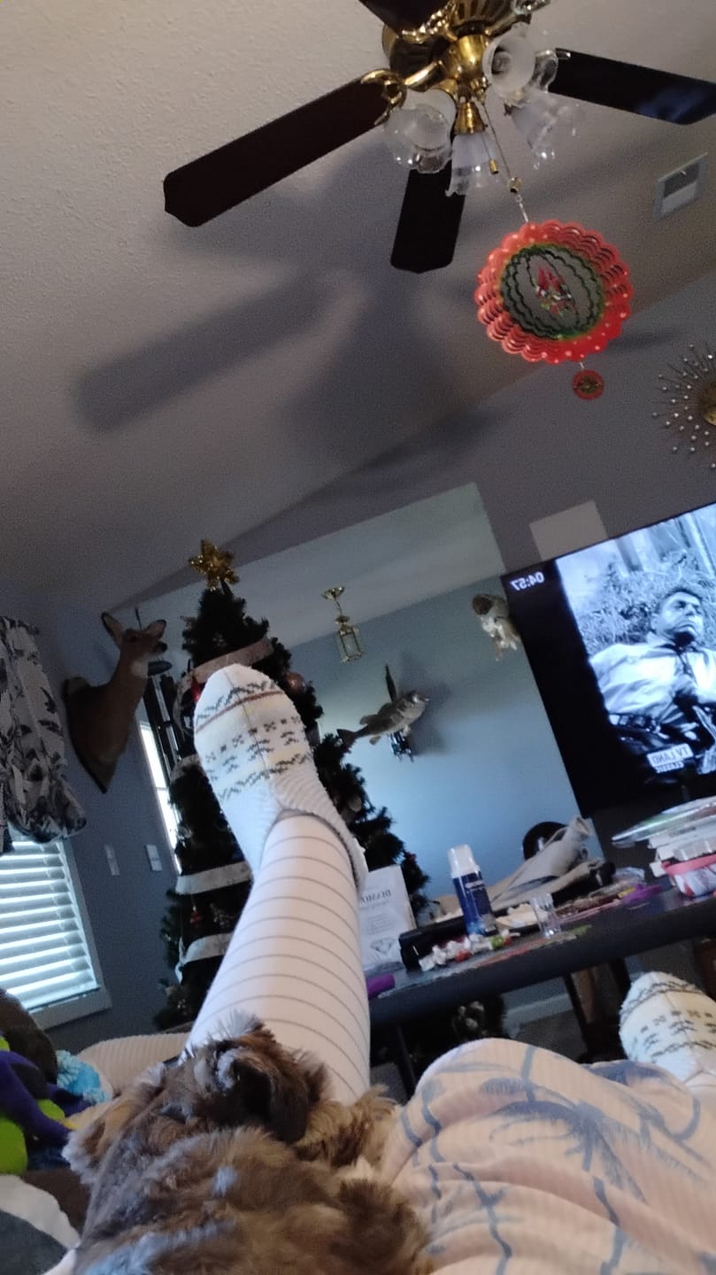 Customer photo review of Everstride™ Bamboo Compression Socks