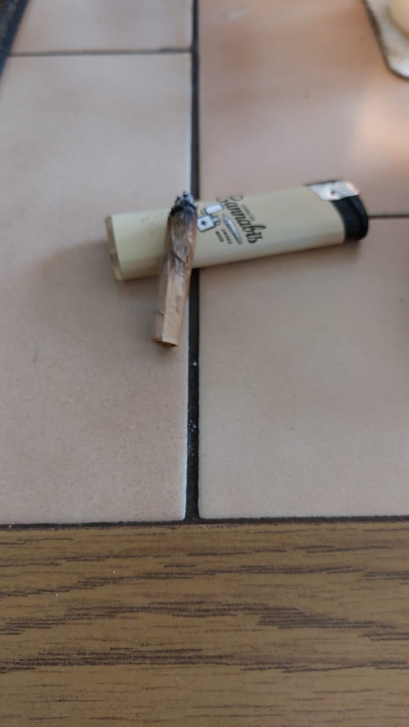 Customer photo review of 😶‍🌫️ Amnesia Haze - Power LVL: 5/5