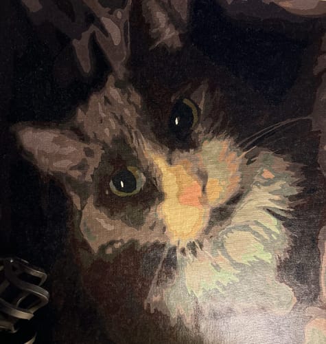 Customer photo review of Custom Paint By Numbers - Personalized Pet Portraits