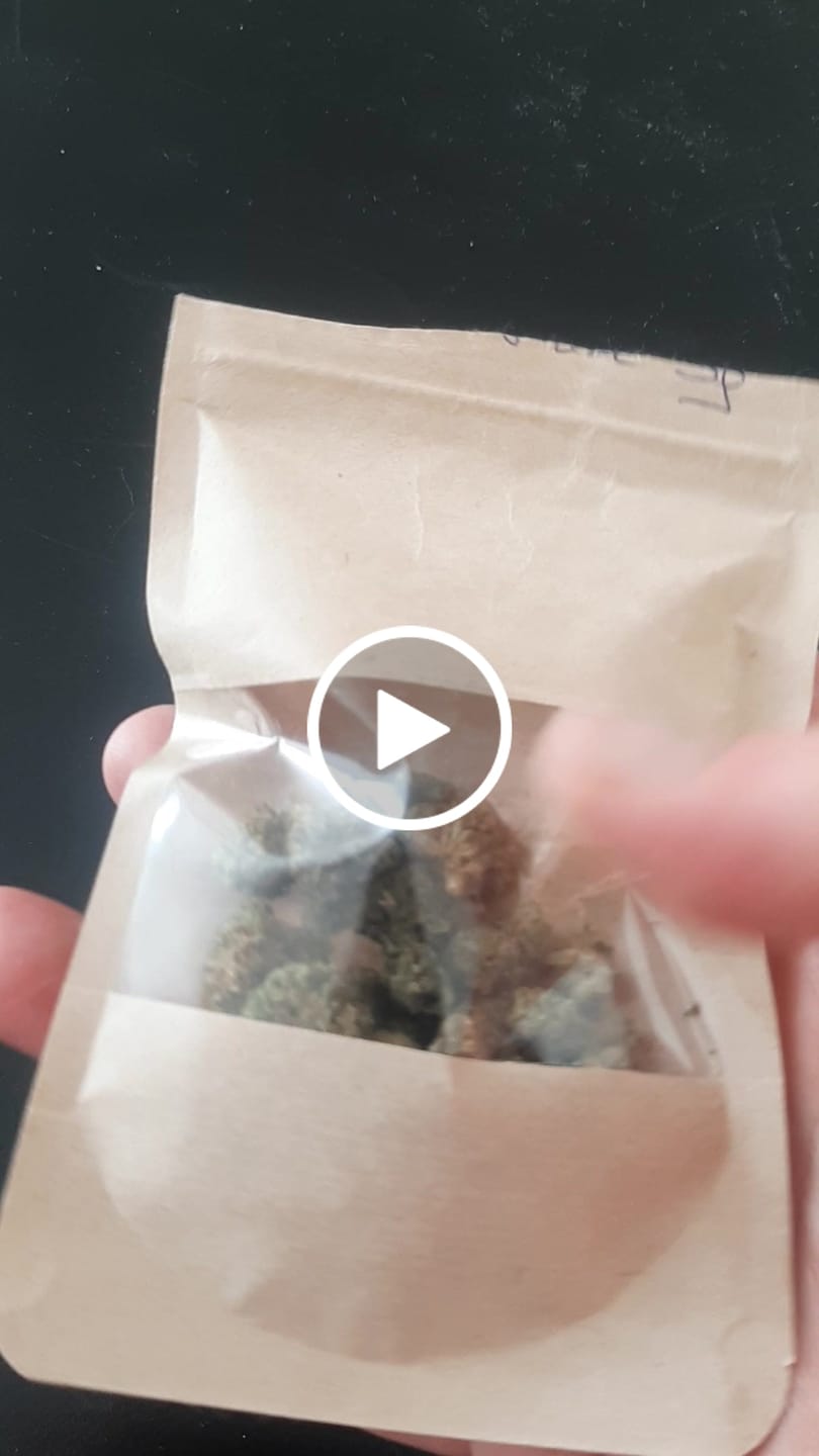 Customer video review of Super Silver Haze Popcorn