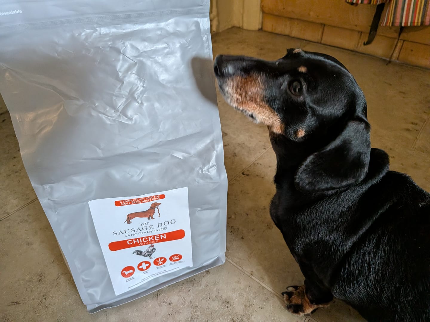 Customer photo review of Grain-Free Duck with Sweet Potato & Orange (Small Kibble)