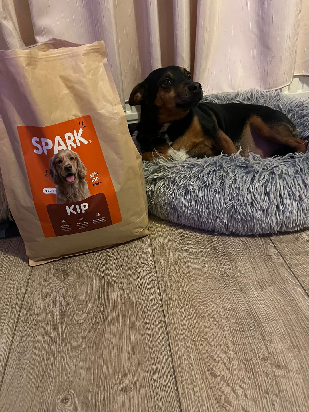 Customer photo review of V2.0 - Volwassen - Kip met Zoete Aardappel